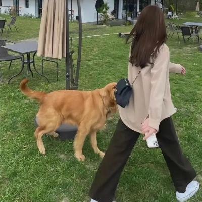 双琴记